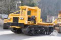 raupentransporter.jpg
