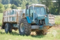 Panien / R-7922